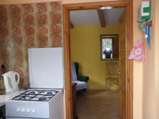 Фермерские дома Mlyn Wodny EKO Rybno Двухместный номер с 1 кроватью и собственной ванной комнатой-3